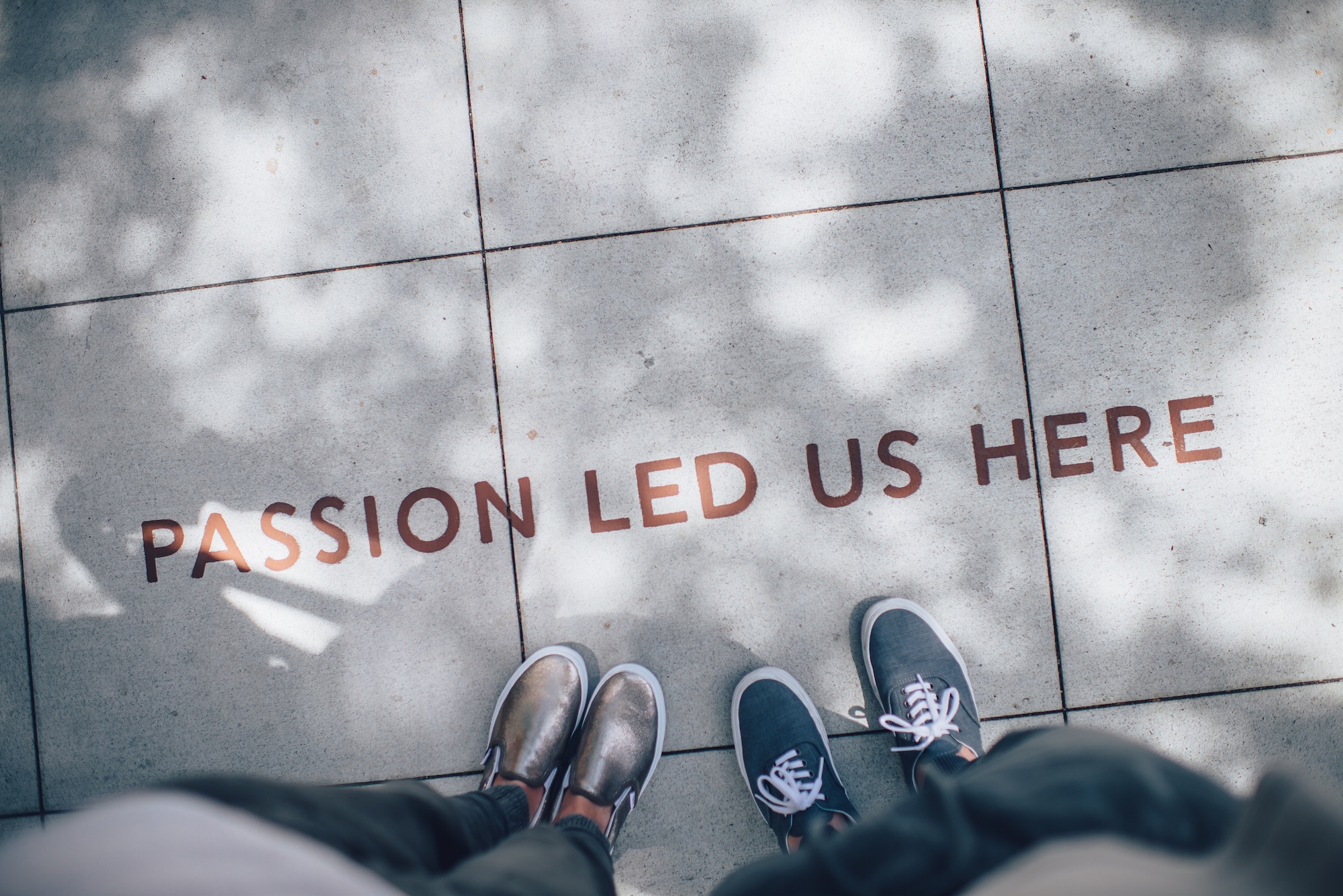 decorative image, photo by Ian Schneider on Unsplash