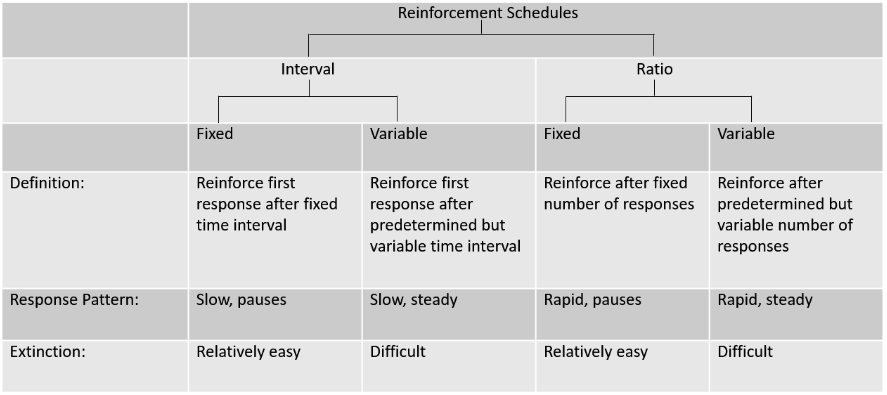 reinforcement scheduled figure